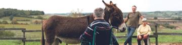 Handicap et inclusion