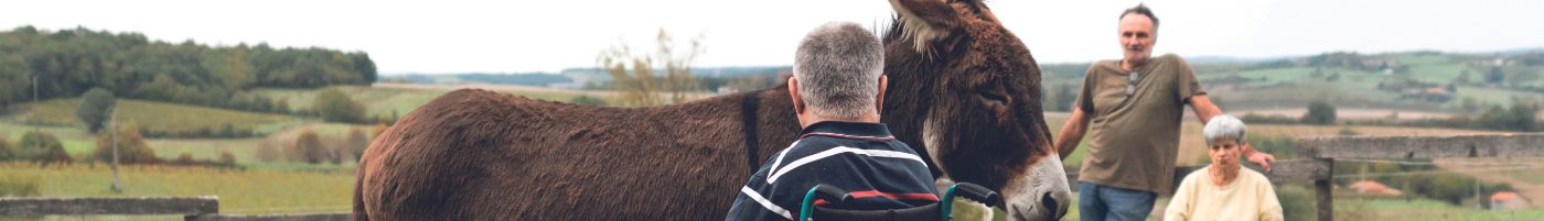 Handicap et inclusion
